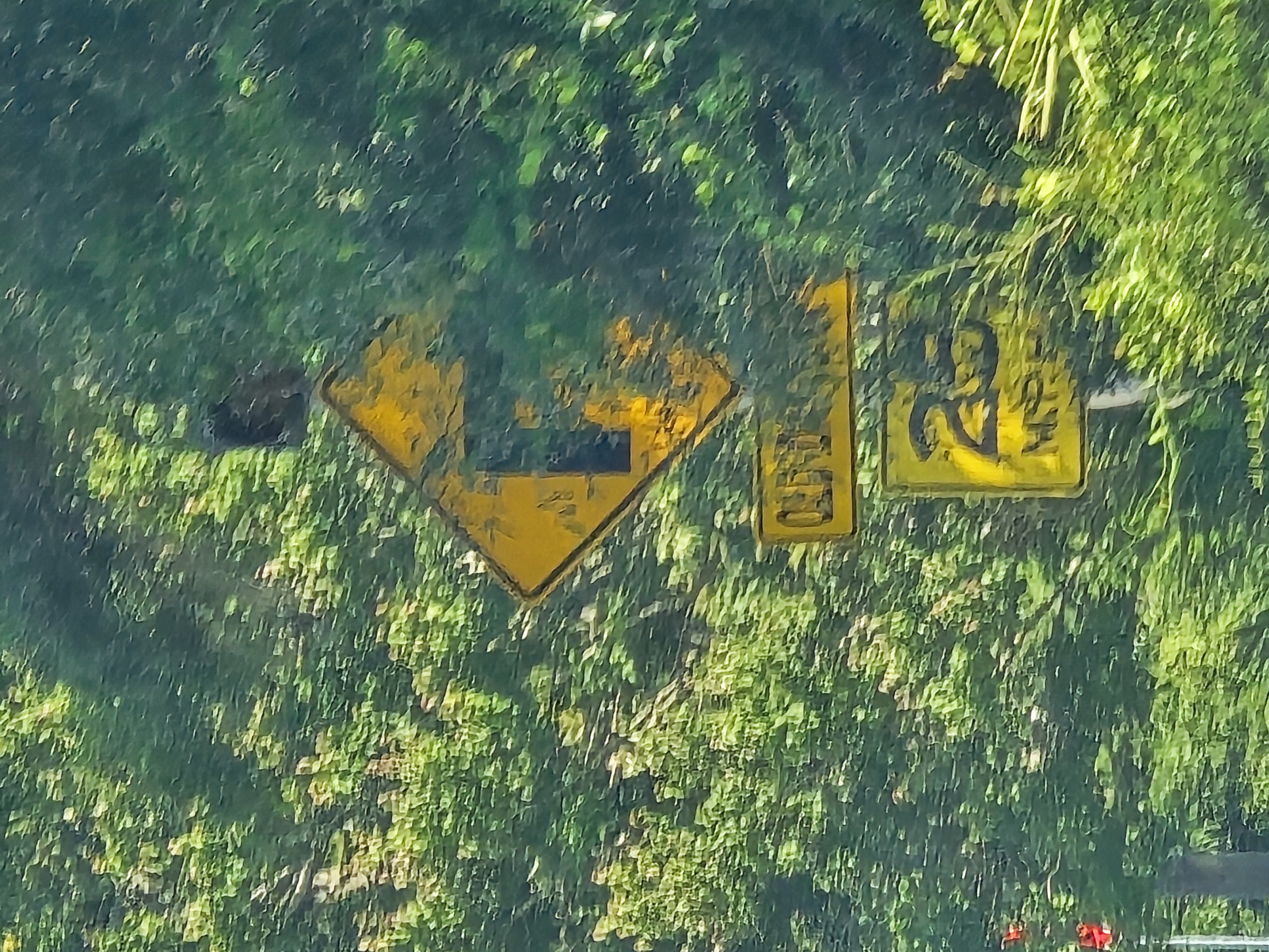 Wider view of obstructed Turn-ahead warning sign at Old Daytona/Marsh